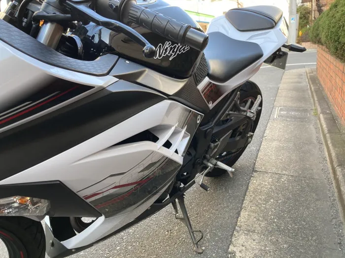 ニンジャ250 ニンジャ250左サイド画像