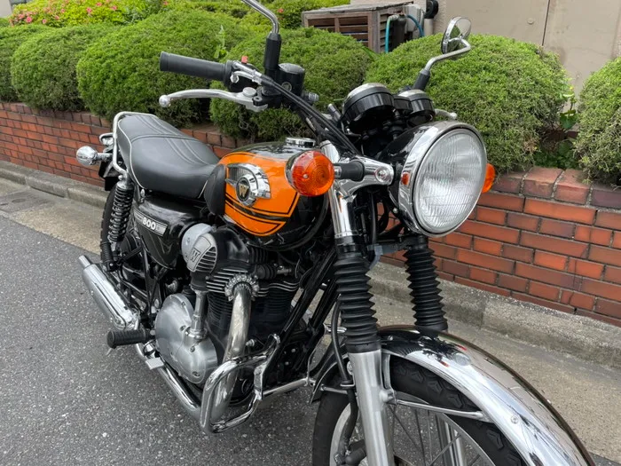 W800 エンジンガード装備